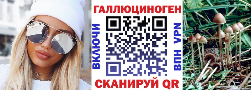 Купить  Пойковский  Галлюциногенные грибы ЛСД 