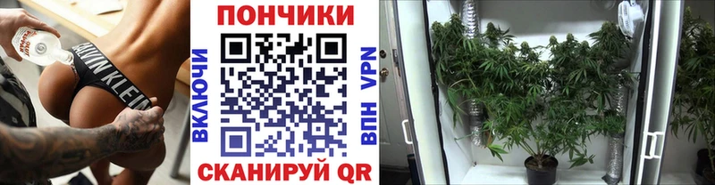 Купить  Пойковский  МАРИХУАНА MAZAR 